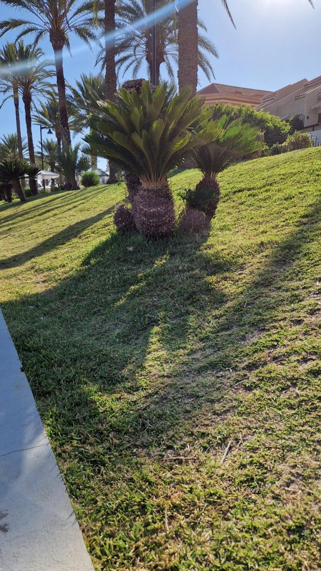 Torres Del Sol Luxury Las Americas Playa de las Americas  Luaran gambar