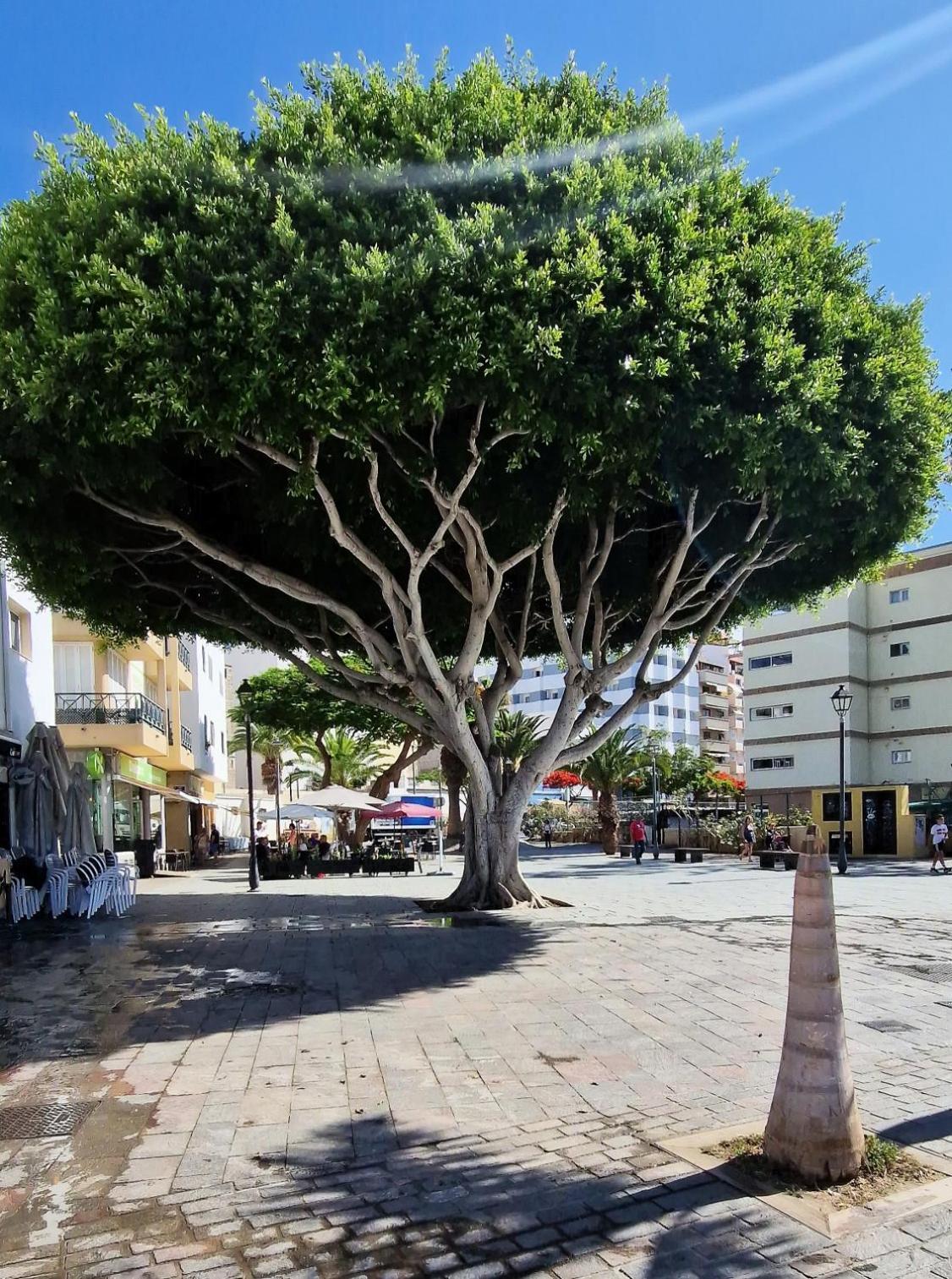 Torres Del Sol Luxury Las Americas Playa de las Americas  Luaran gambar